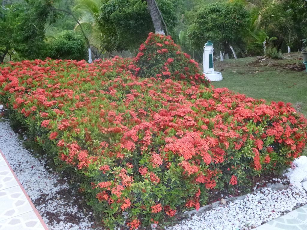 Villa Ludivine แซนต์-อาน ห้อง รูปภาพ