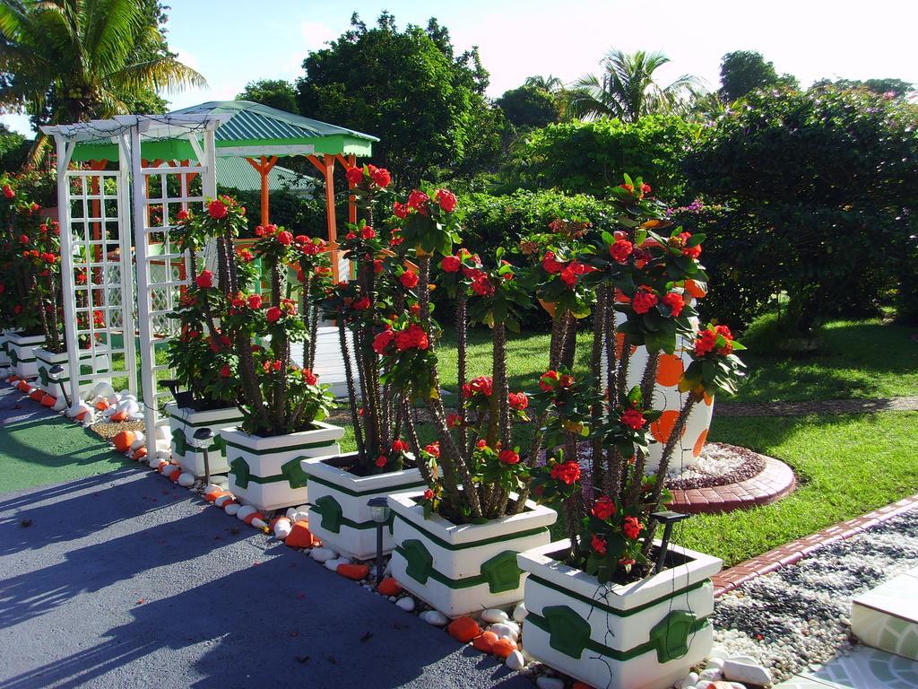 Villa Ludivine แซนต์-อาน ห้อง รูปภาพ