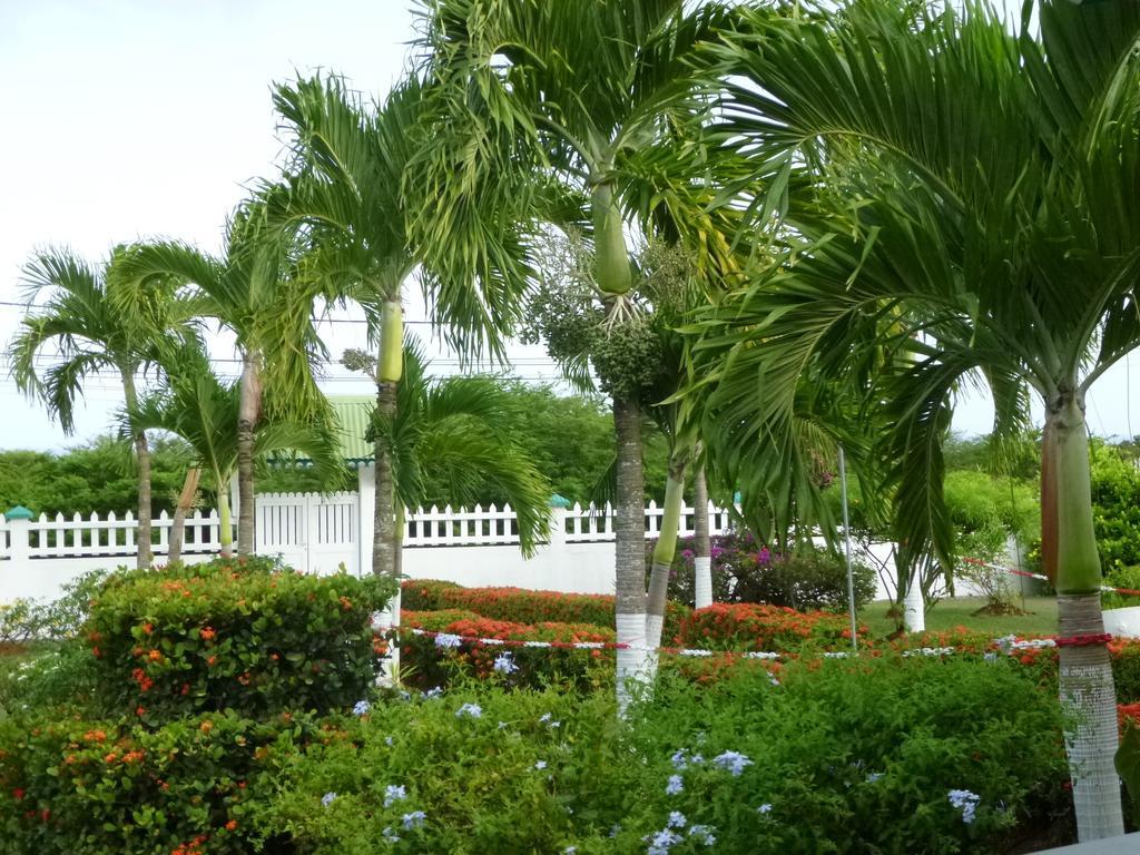 Villa Ludivine แซนต์-อาน ห้อง รูปภาพ