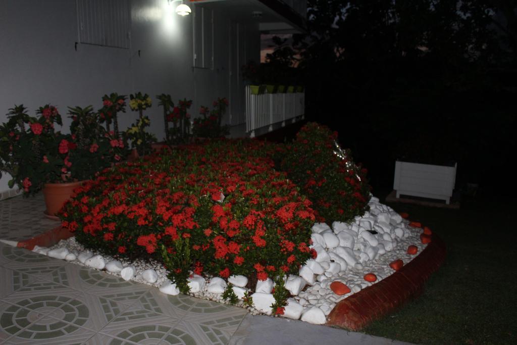 Villa Ludivine แซนต์-อาน ภายนอก รูปภาพ